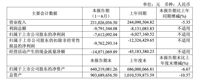 快讯 | 法狮龙2025年上半年实现营收2.31亿元,同比下降5.35%